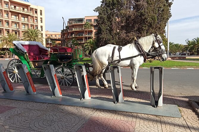 Majorelle-Menara garden & the Yves Saint Laurent museum Horse carriage tours - Booking and practical expectations, in plain terms