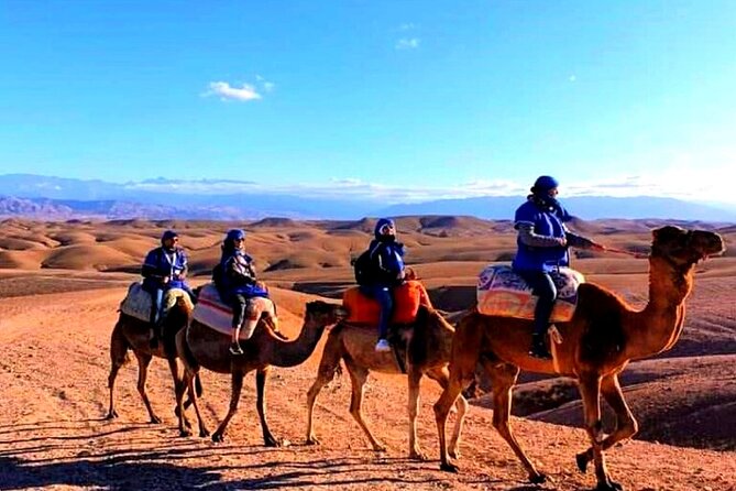 Marical dinner and camel ride at sunset in Desert of Marrakech - From Armed village toward the Desert of Marrakech: camel and mule time
