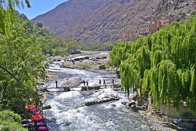 Marrakech : 1-Day Trip to the Ourika Valley - Waterfalls walk with a local guide: the part most people remember