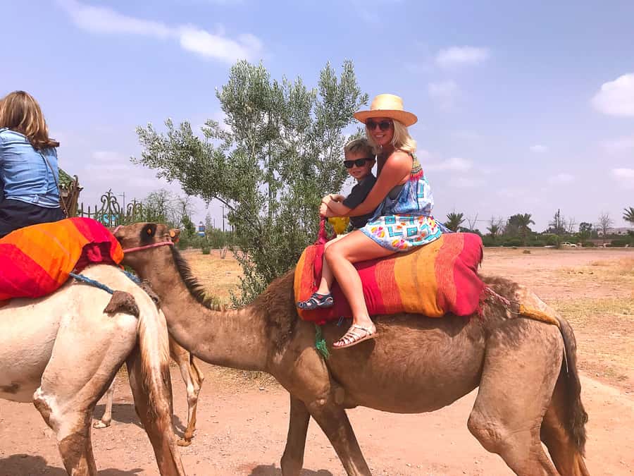 Marrakech : 1-Hour Camel Ride Through the Palm Grove - Key Points to Know Before You Go