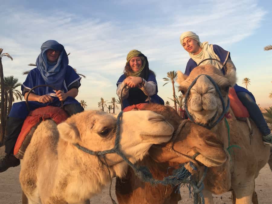 Marrakech : 1-Hour Camel Ride Through the Palm Grove - Barbary Macaques and the Nature Stop You Can’t Schedule Perfectly