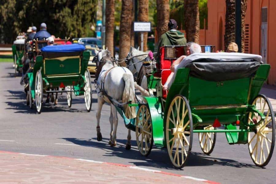 Marrakech: 1-Hour Traditional Horse-Drawn Carriage Tour - Key things to know before you ride