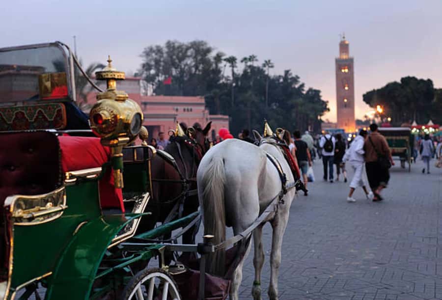 Marrakech: 1-Hour Traditional Horse-Drawn Carriage Tour - Koutoubia Mosque from the Carriage: A Real Marrakech Icon
