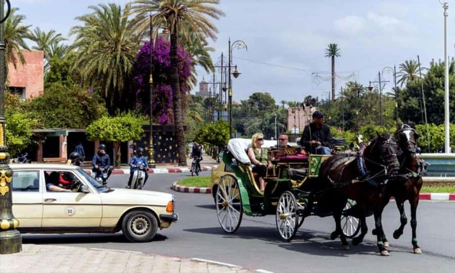 Marrakech: 1-Hour Traditional Horse-Drawn Carriage Tour - Pickup, Timing, and How to Make Your Hour Go Smoothly