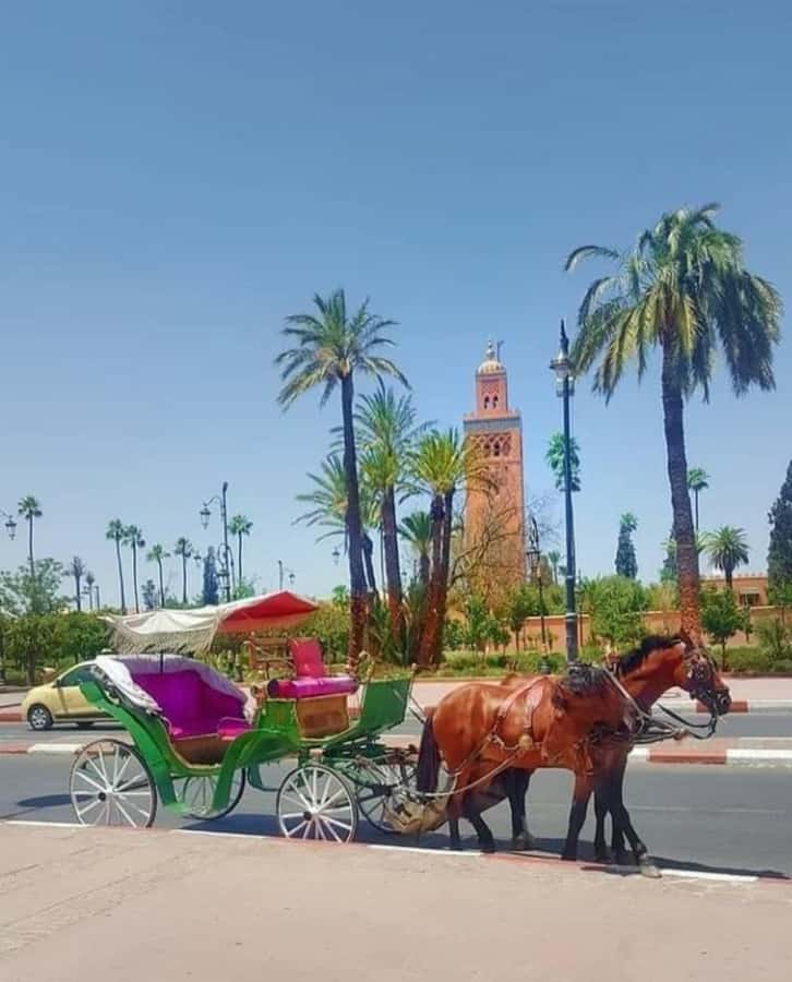 Marrakech: 1-Hour Traditional Horse-Drawn Carriage Tour - Guide and carriage pairing: what to look for once you’re onboard