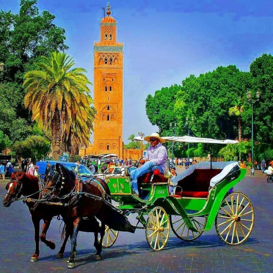 Marrakech: 1-Hour Traditional Horse-Drawn Carriage Tour - What to pack and how to make the ride smoother