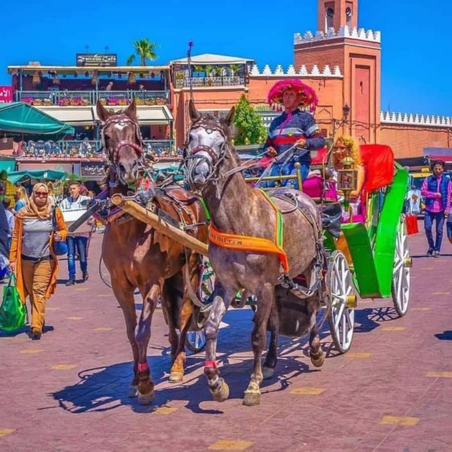 Marrakech: 1-Hour Traditional Horse-Drawn Carriage Tour - Menara Garden: the calm pause that makes the tour feel complete
