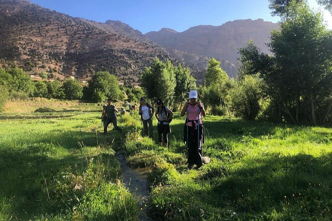 Marrakech: 2-Day Atlas Mountains Trek with Village Stay - Key highlights you’ll feel right away