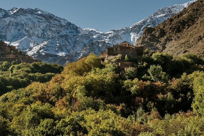 Marrakech: 2-Day Atlas Mountains Trek with Village Stay - Walnut grove lunch by the river: where the day slows down on purpose