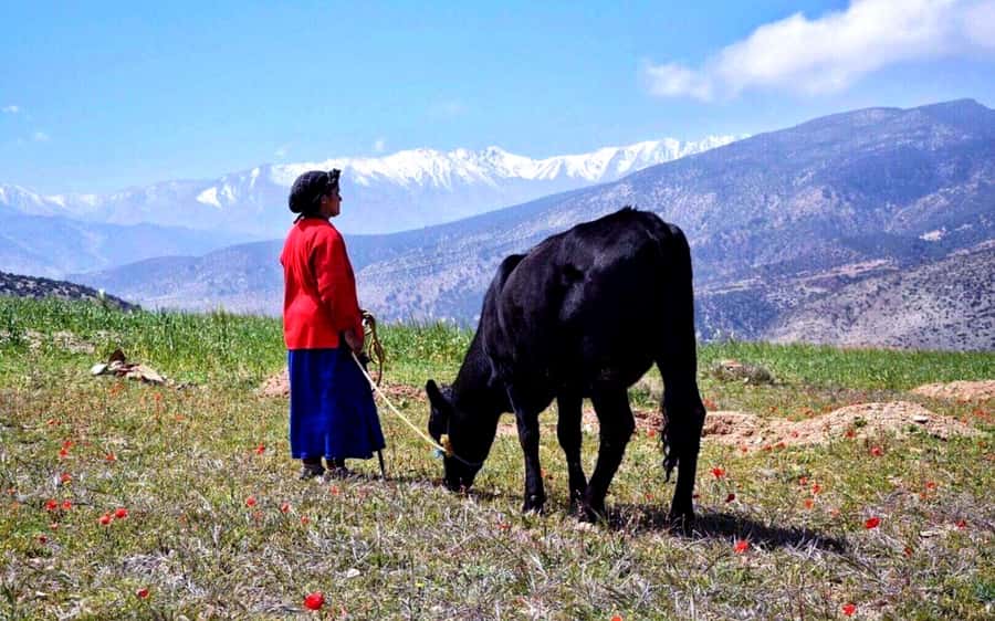 Marrakech: 2-Day Atlas Villages Trekking Tour - Tinmel School and a Terrace Lunch in Ijoukak: Day 1’s Best Hour