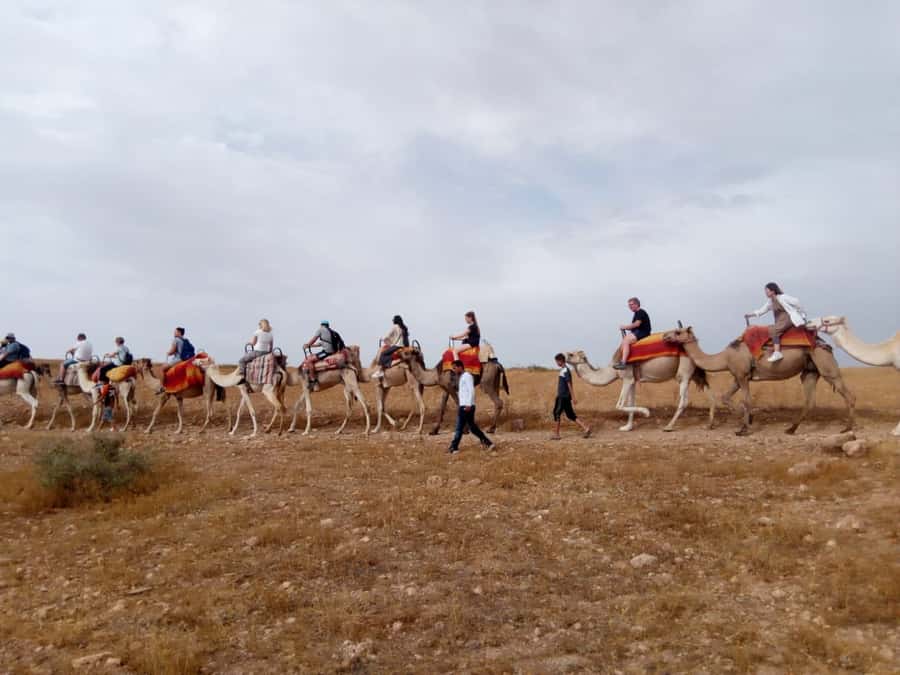 Marrakech: 2-Day Atlas Villages Trekking Tour - Who This Atlas Villages Trek Suits Best