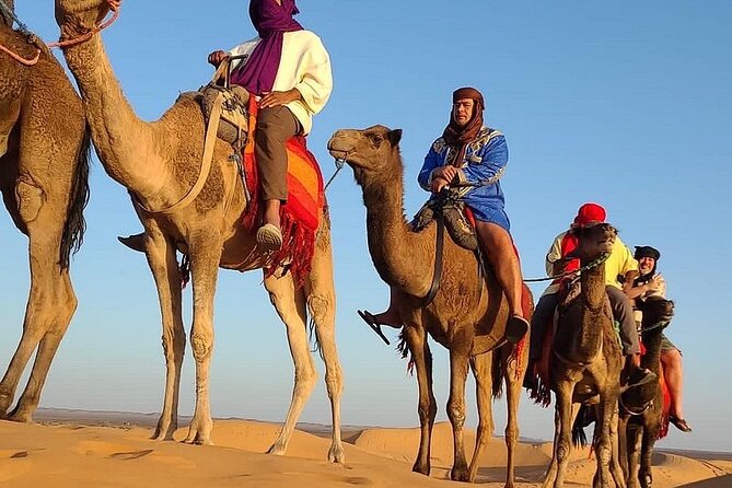 Marrakech: 2 Days tour to Sahara Zagora Desert & Ait-BenHaddou - Key highlights (what matters most)