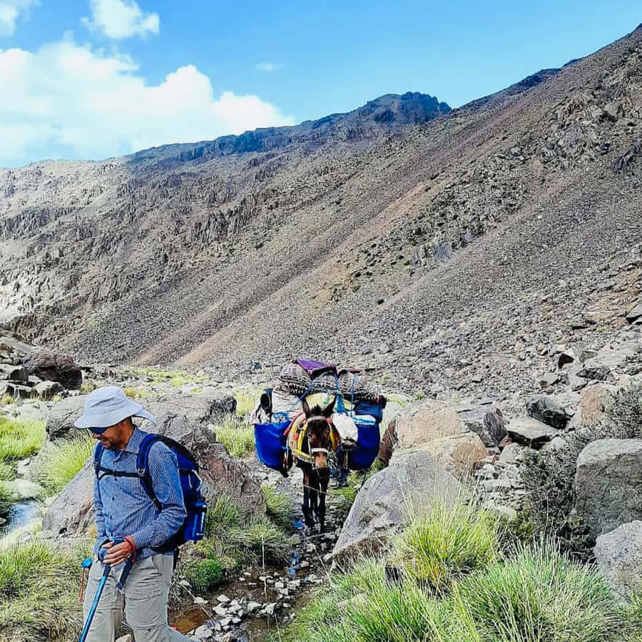 Marrakech: 3-Day Atlas Mountains Berber Villages Trek - Day 2: Oudit Pass at 2200m and the Optional Hamam at Ait Aissa