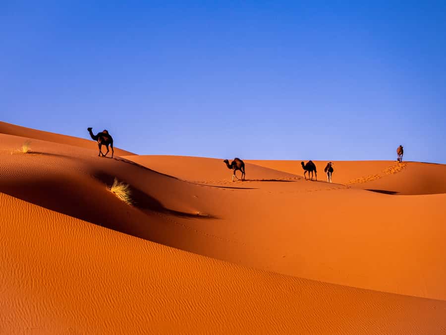 Marrakech: 3-Day Desert Tour to Merzouga Dunes & Camel Trek - Day 1: Tizi n’ Tichka, Ait Ben Haddou, and Into the Dades Gorge Area