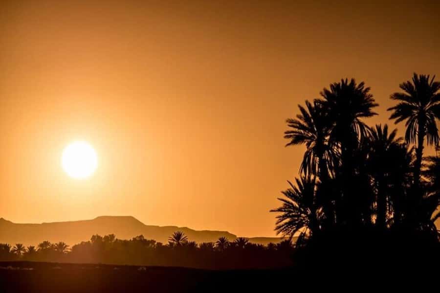 Marrakech: 3-Day Desert Tour to Zagora Desert via Ouarzazate - Zagora camel trek and desert camp: sunset, sunrise, and the comfort surprises