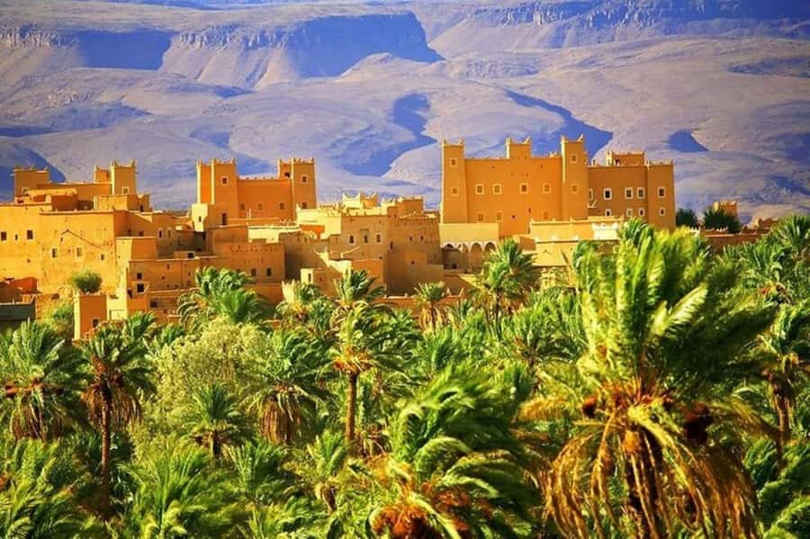 Marrakech: 3-Day Desert Tour to Zagora Desert via Ouarzazate - Timing, road reality, and how to avoid the common annoyances