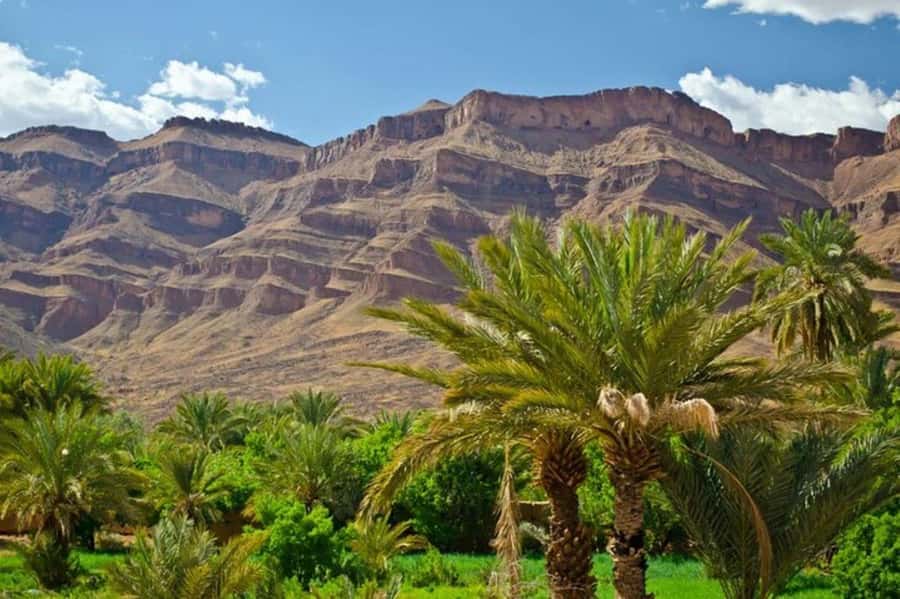 Marrakech: 3-Day Desert Tour to Zagora Desert via Ouarzazate - Should you book the Marrakech to Zagora 3-day tour via Ouarzazate?