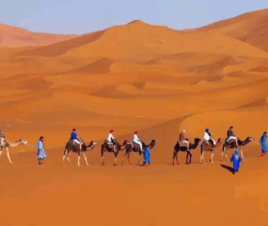 Marrakech: 3-day Exclusive Desert Luxury Tour; Quad & Camels - Quad bikes and sandboarding: fun add-ons with a budget check