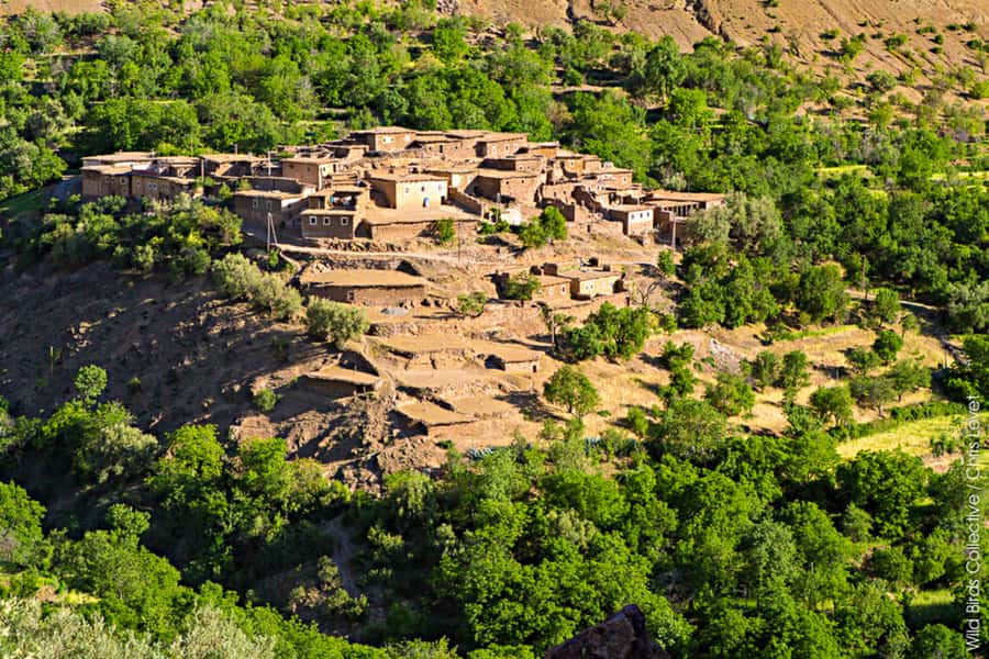 Marrakech: 3-Day High Atlas Mountains and Three Valleys Trek - Key Things You’ll Care About Most