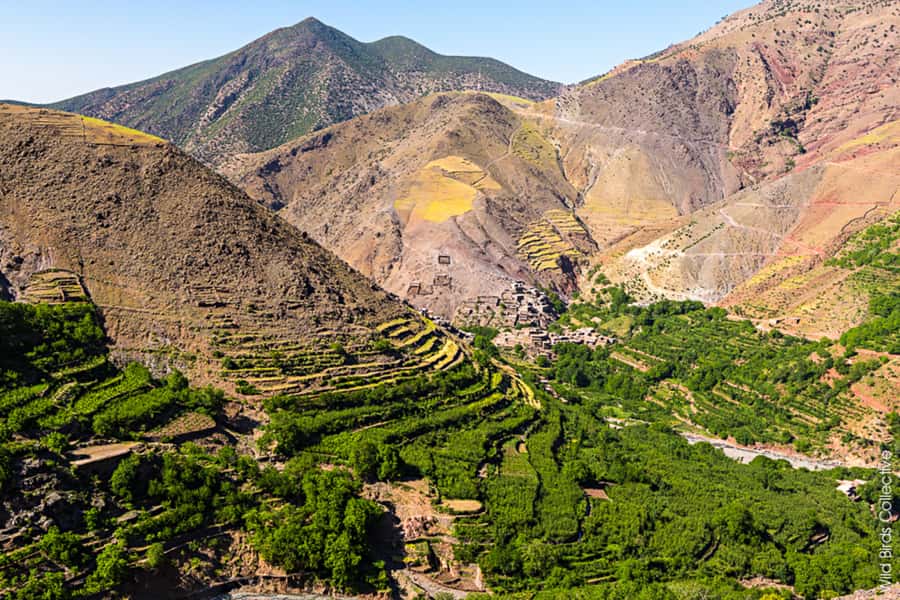 Marrakech: 3-Day High Atlas Mountains and Three Valleys Trek - Guides, Mules, and Meals: Why People Trust This Operator