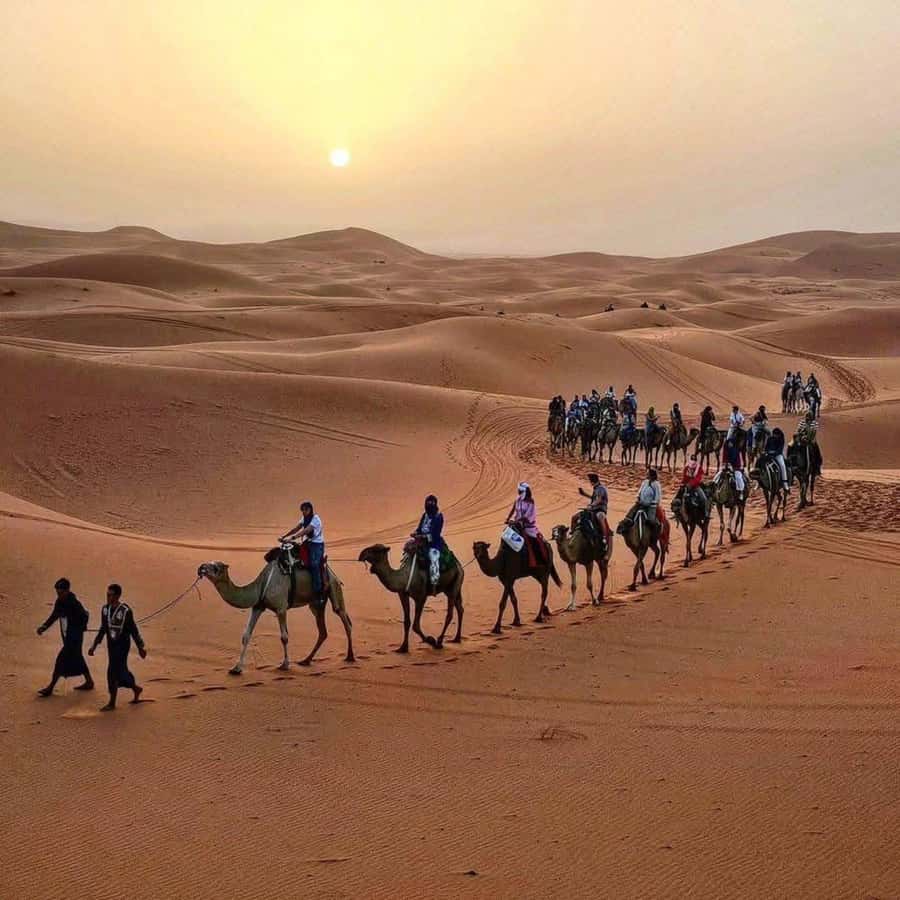 Marrakech: 3-Day Luxurious Desert Tour to Fes via Merzouga. - Key highlights to know before you go