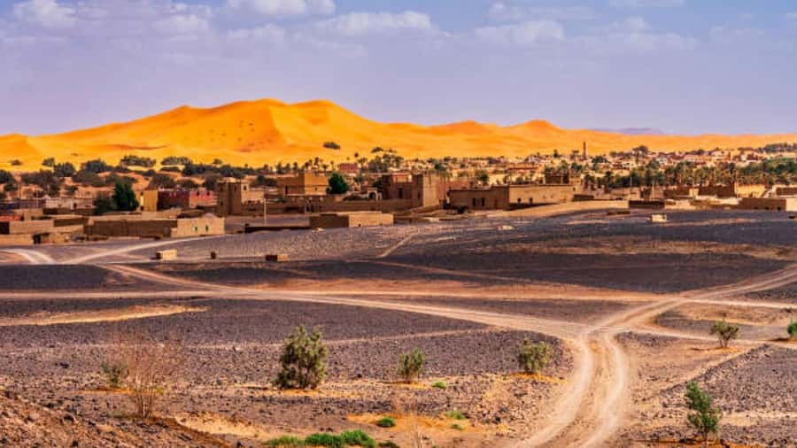 Marrakech: 3-Day Luxurious Desert Tour to Fes via Merzouga. - Day 3: desert sunrise, cedar-forest monkeys, and arriving in Fes