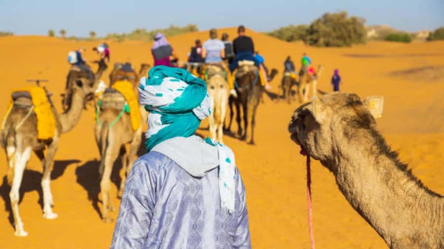 Marrakech: 3-Day Luxurious Desert Tour to Fes via Merzouga. - Luxury camp and guesthouse comforts: what you actually get