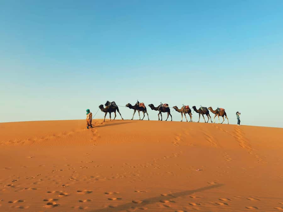 Marrakech: 3-day Merzouga Desert, Camel, Quad & Privat Tent - Desert camp night: dinner, drumming, and sleeping in the stars