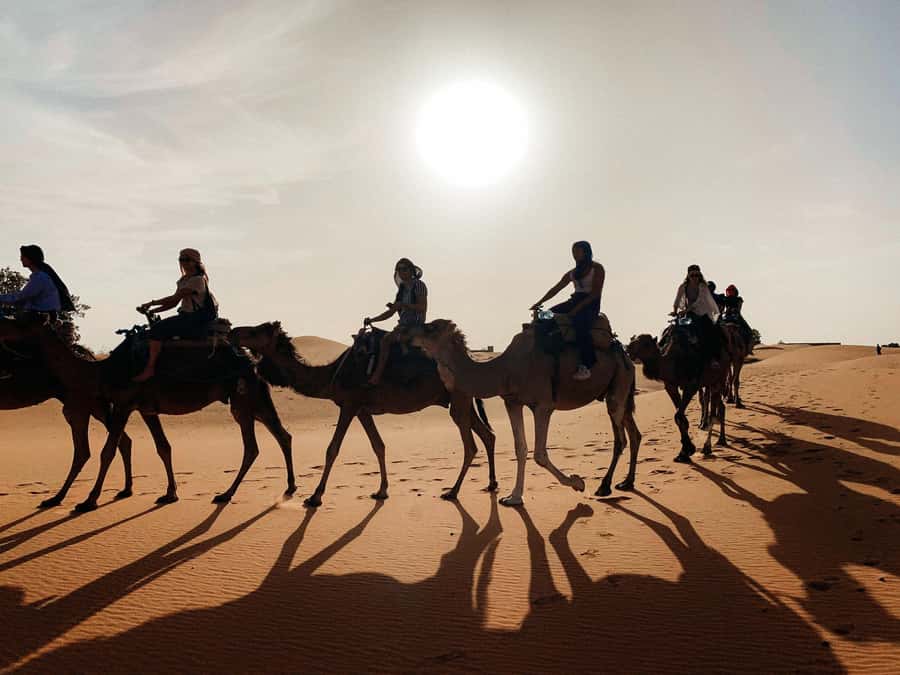Marrakech: 3-Day Trip to Fez with Sandboarding & Camel Ride - Who this Marrakech-to-Fez desert tour fits best