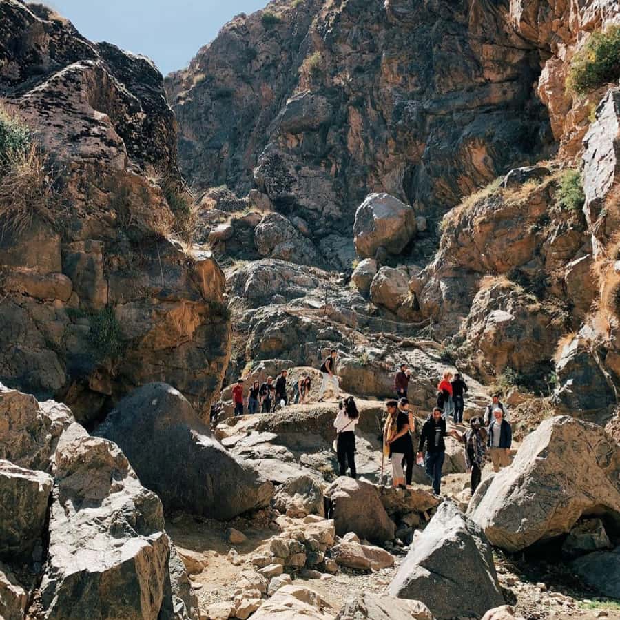 Marrakech 3 Valleys Private Tour, Waterfalls and Mountains - Sidi Fares Forest: the scenic break that keeps the day from feeling one-note