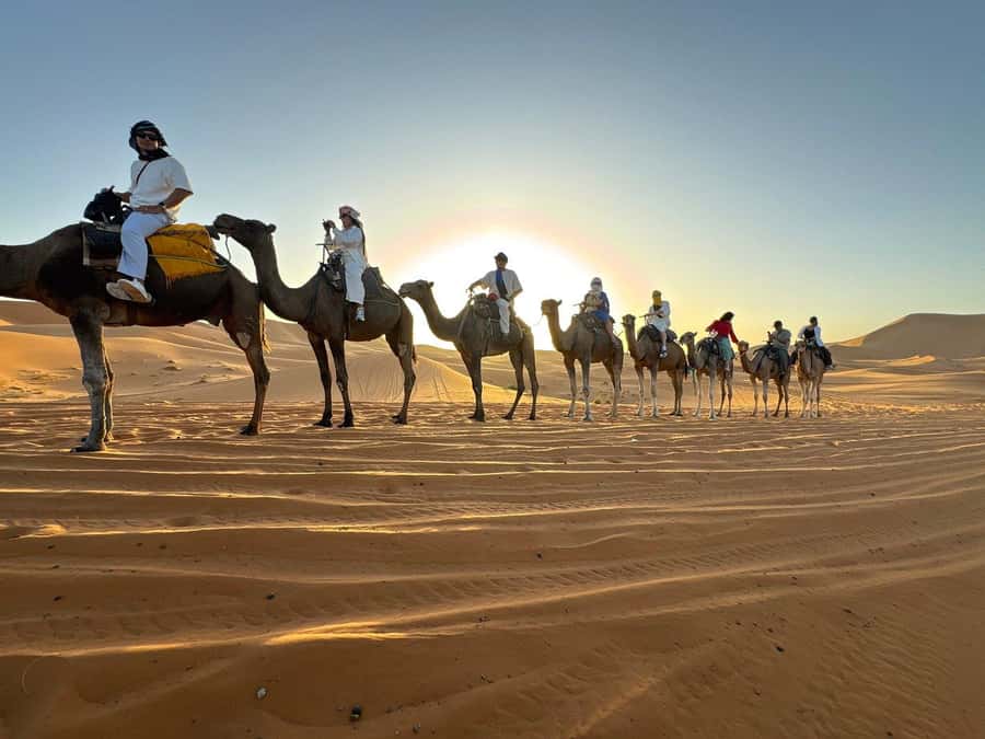 Marrakech: 3D2N Merzouga Desert Tour & Royal Tent Optional - From Marrakech to the High Atlas: the ride that sets the tone