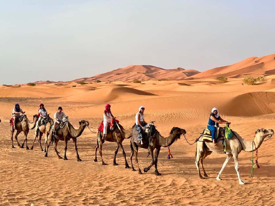 Marrakech: 3D2N Merzouga Desert Tour & Royal Tent Optional - Merzouga arrival and the camel trek over Erg Chebbi dunes