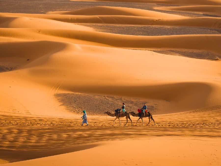 Marrakech: 3D2N Merzouga Desert Tour & Royal Tent Optional - Price check: $113 per person and the value math