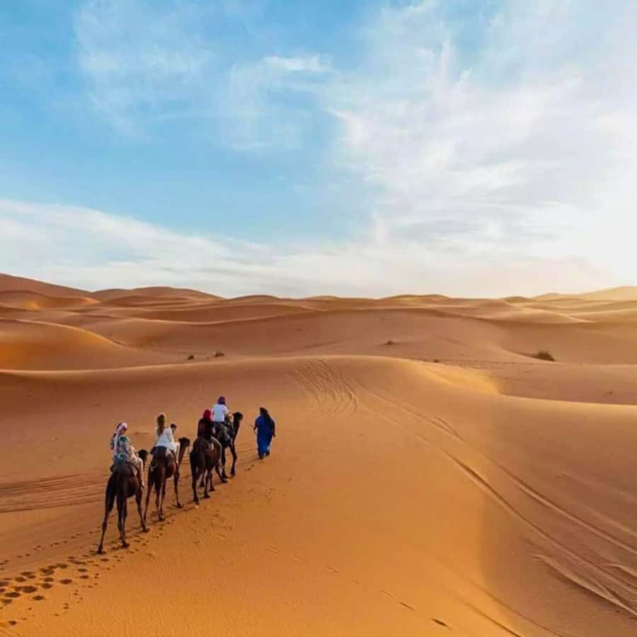 Marrakech: 3D2N Merzouga Desert Tour & Royal Tent Optional - Practical tips: what to pack and how to avoid annoying surprises