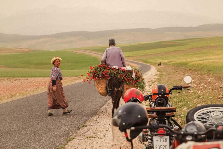 Marrakech : 3h off the beaten path private sidecar ride - Price and what you really get for $185 per person