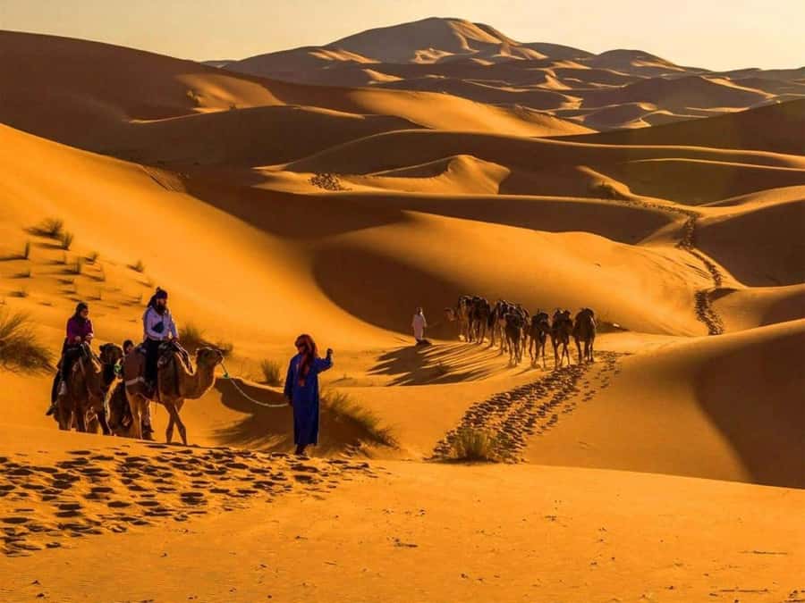 Marrakech: 4-Days Luxury Desert Tour to Fes via Merzouga - A few smart packing and planning notes