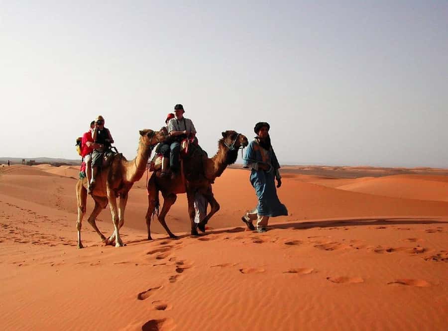 Marrakech: 4-Days Luxury Desert Tour to Fes via Merzouga - From Merzouga to Fes: Ziz Valley, Cedar Forest, and Ifran pacing