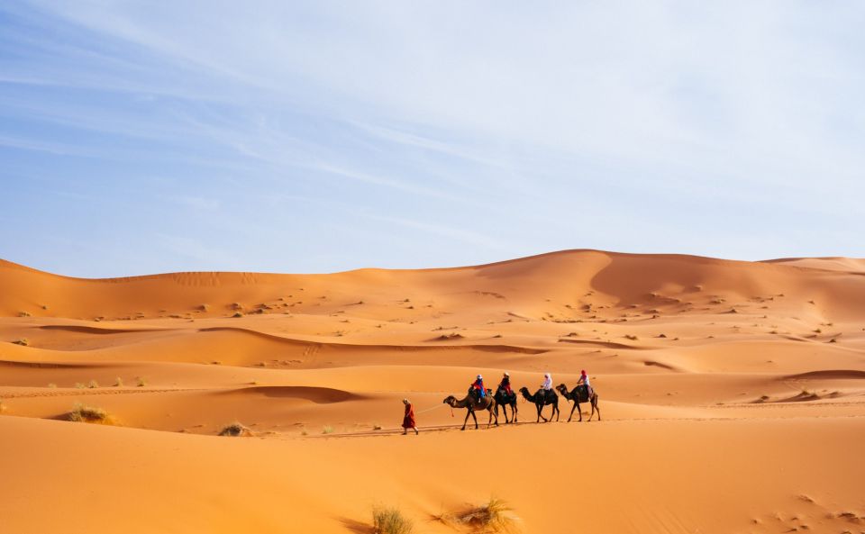 Marrakech: 9-Day Imperial Cities and Sahara Discovery Tour - Todra Gorge, Boumalne Dades, and Ouarzazate: kasbahs and movie country