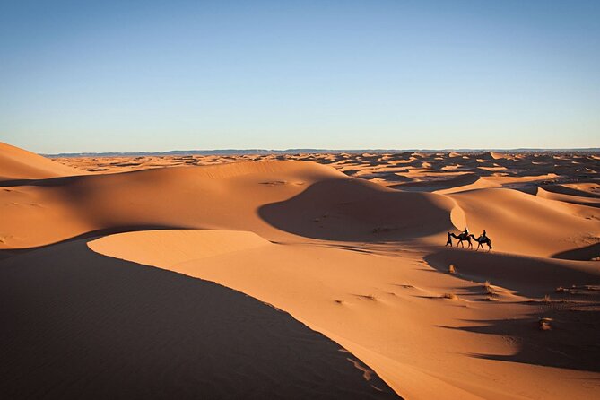 Marrakech à Fès via le désert de Merzouga 3 jours au Maroc Sahara - What This Trip Feels Like Day to Day (So You Can Choose Wisely)