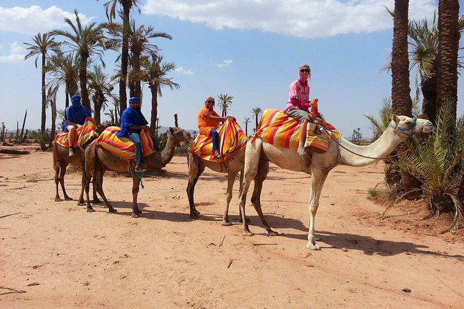 Marrakech activities: Camel ride tour Marrakech - Key Things I’d Bet You’ll Care About