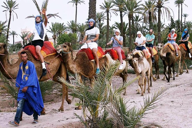 Marrakech activities: Camel ride tour Marrakech - Mint Tea Break: A Small Stop That Adds Real Flavor