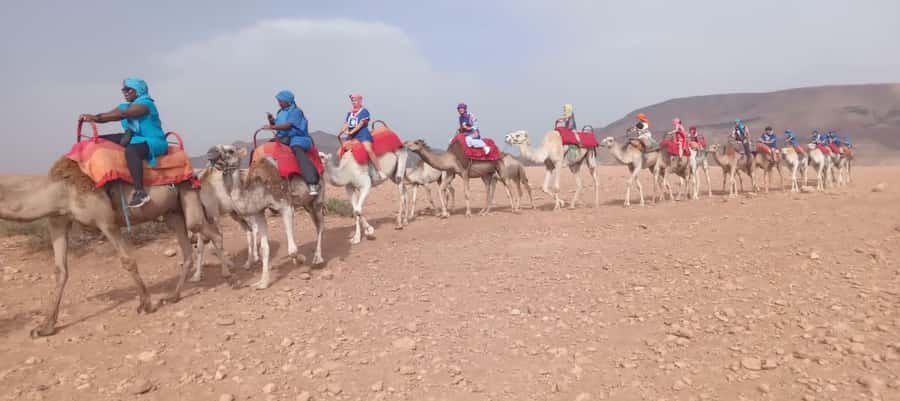 Marrakech Adventure: Agafay Desert Quad, Camel, Lunch - Swimming Pool Time: The Comfort Stop You’ll Appreciate