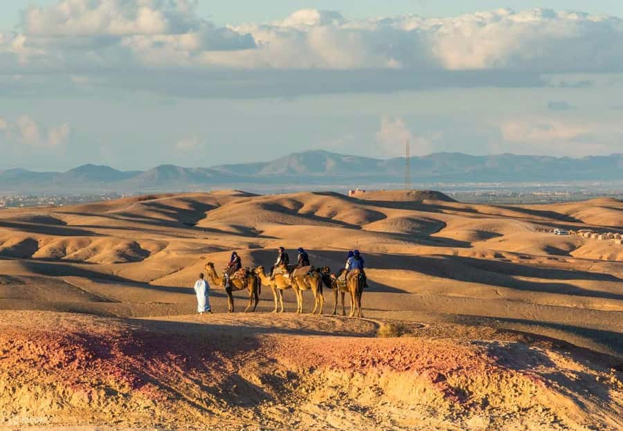 Marrakech Adventure: Agafay Desert Quad, Camel, Lunch - Price and Value: Why $30 Can Work (If You Check the Package)