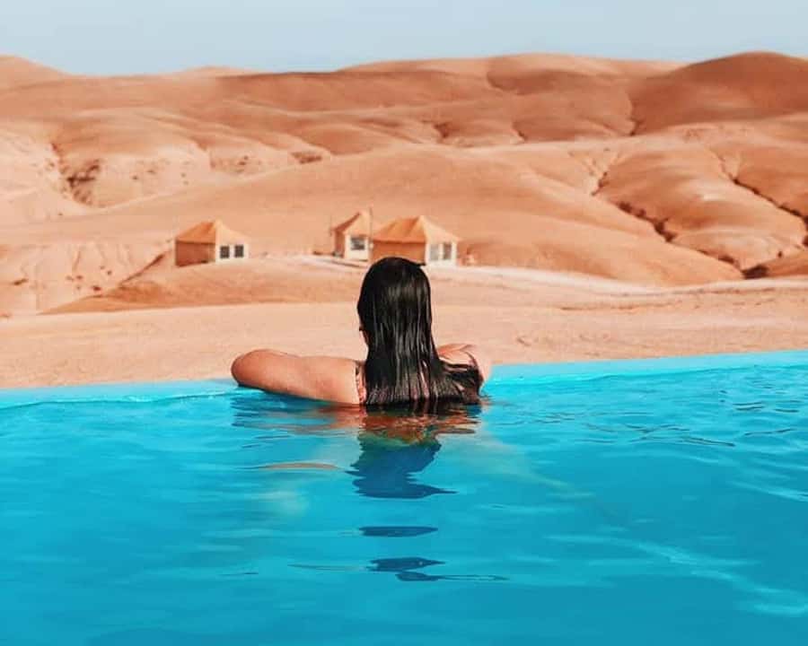 Marrakech Adventure: Agafay Desert Quad, Camel, Lunch - Pickup With Friendly Guides and a Clear Start