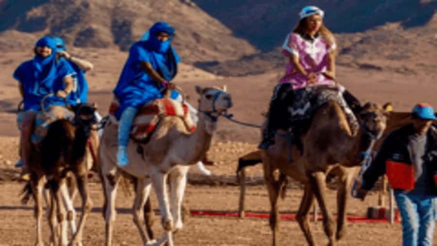 Marrakech Adventure: Paragliding, Camel Ride & Breakfast - Key points to know before you go