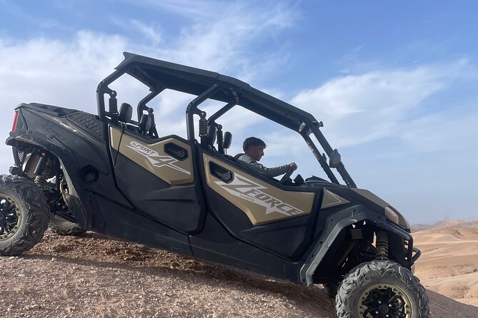 Marrakech: Agafay: 2 hours Buggy ride to the Desert and Lake - Entering the Palm Grove: What the Guided Part Really Gives You
