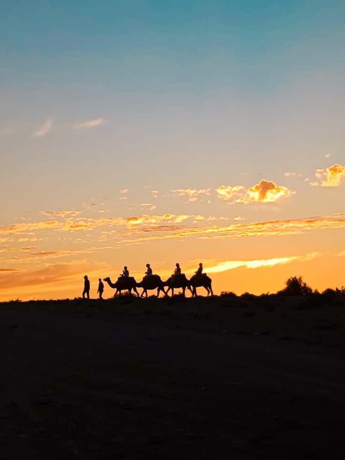 Marrakech: Agafay Camel Ride & Dinner with Fire Show Tour - Mint tea welcome and the argan oil cooperative stop