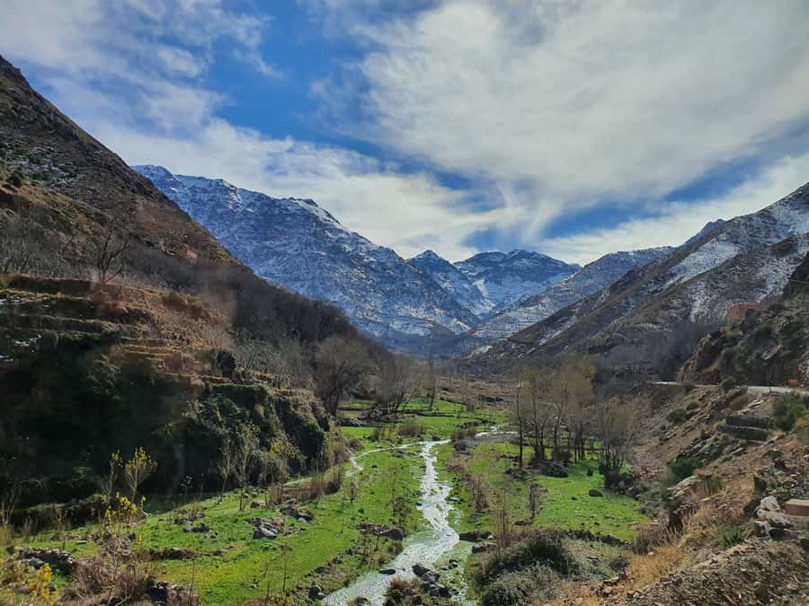 Marrakech: Agafay Desert, Atlas mountains & Waterfalls Tour - Price and Value: Why This Can Be a Great Deal
