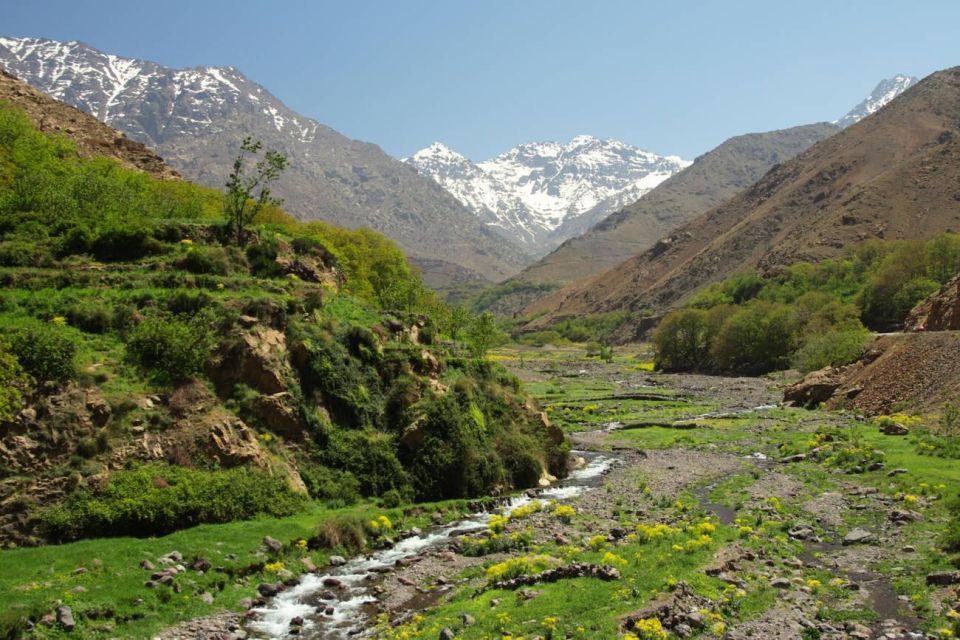 Marrakech: Agafay Desert, Atlas mountains & Waterfalls Tour - Who This Tour Fits Best (and Who Should Skip It)