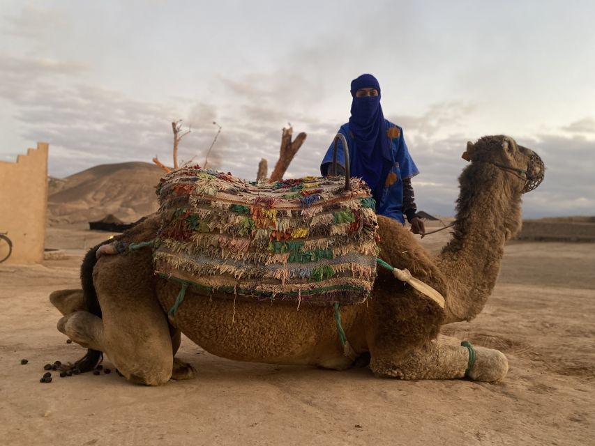 Marrakech: Agafay Desert Buggy Tour with Transfer - Price and value: is $85 per person a fair deal?